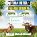 Qurban Penuh Berkah Bersama Yatim, Dhuafa, dan Santri